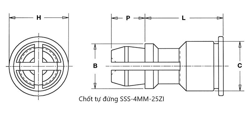 Bản vẽ kỹ thuật Chốt tự đứng SSS-4MM-25ZI